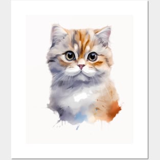 Scottish Fold cat Posters and Art